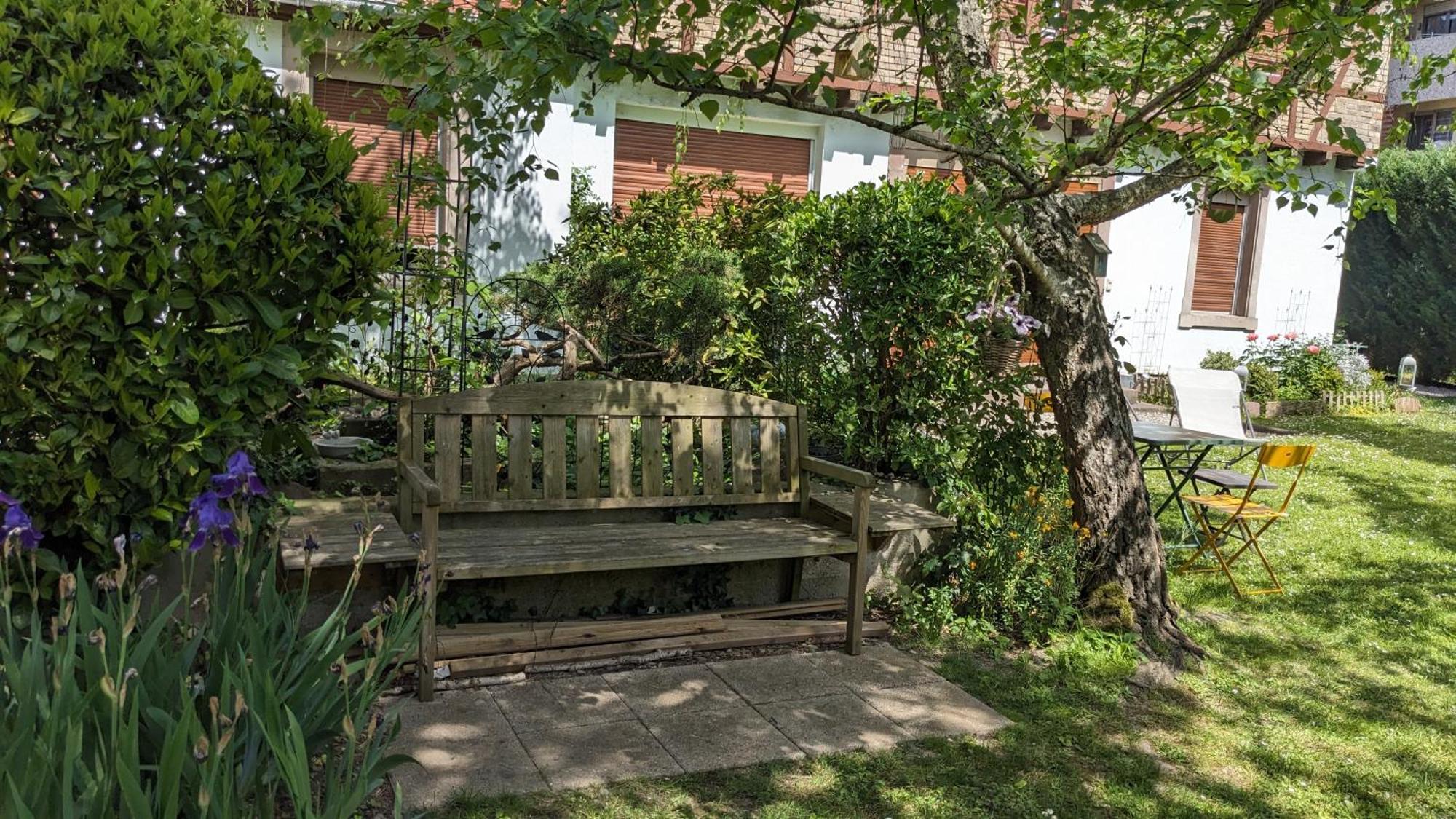 Le Petit Parc Apartment Колмар Екстериор снимка