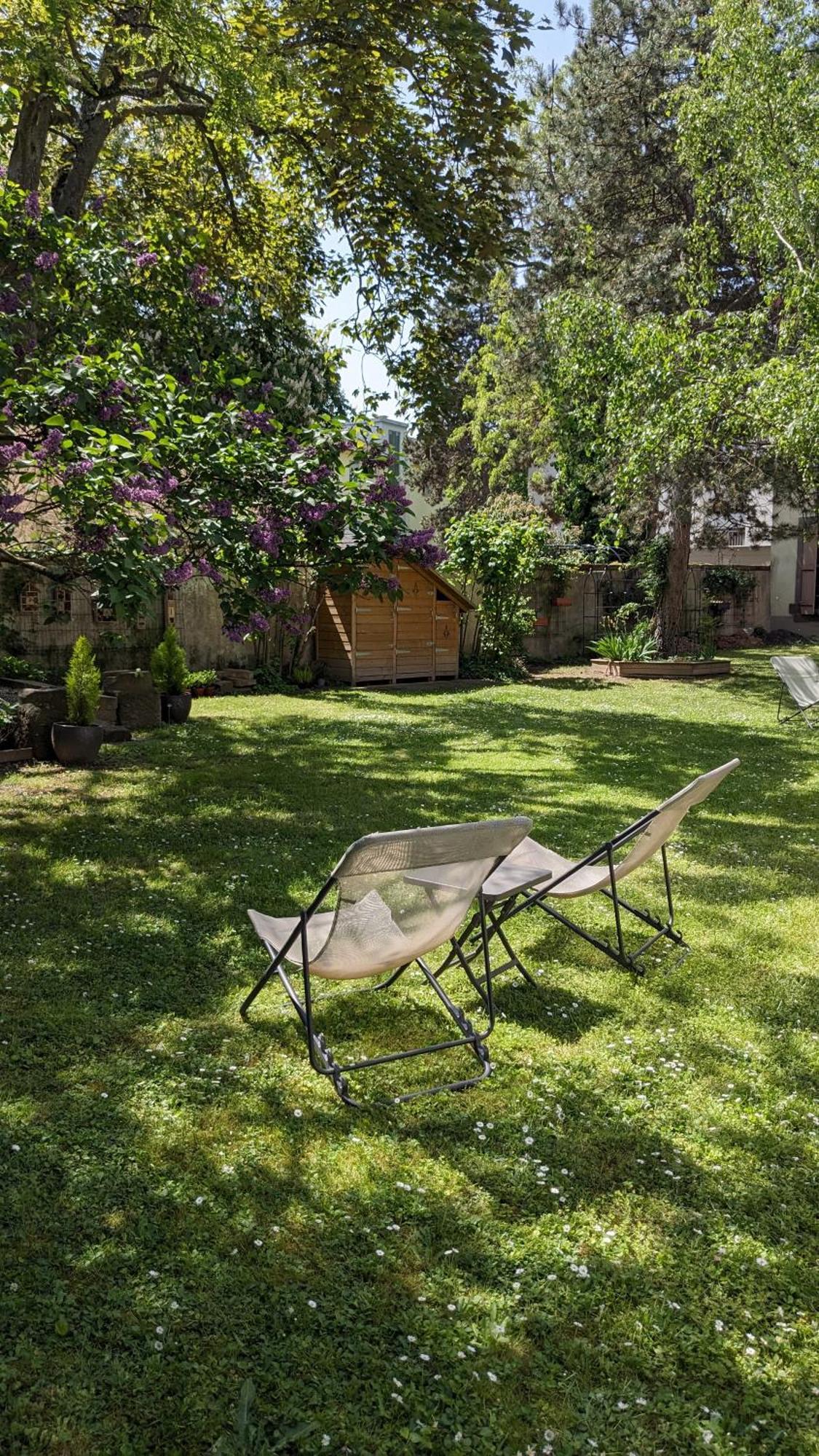 Le Petit Parc Apartment Колмар Стая снимка
