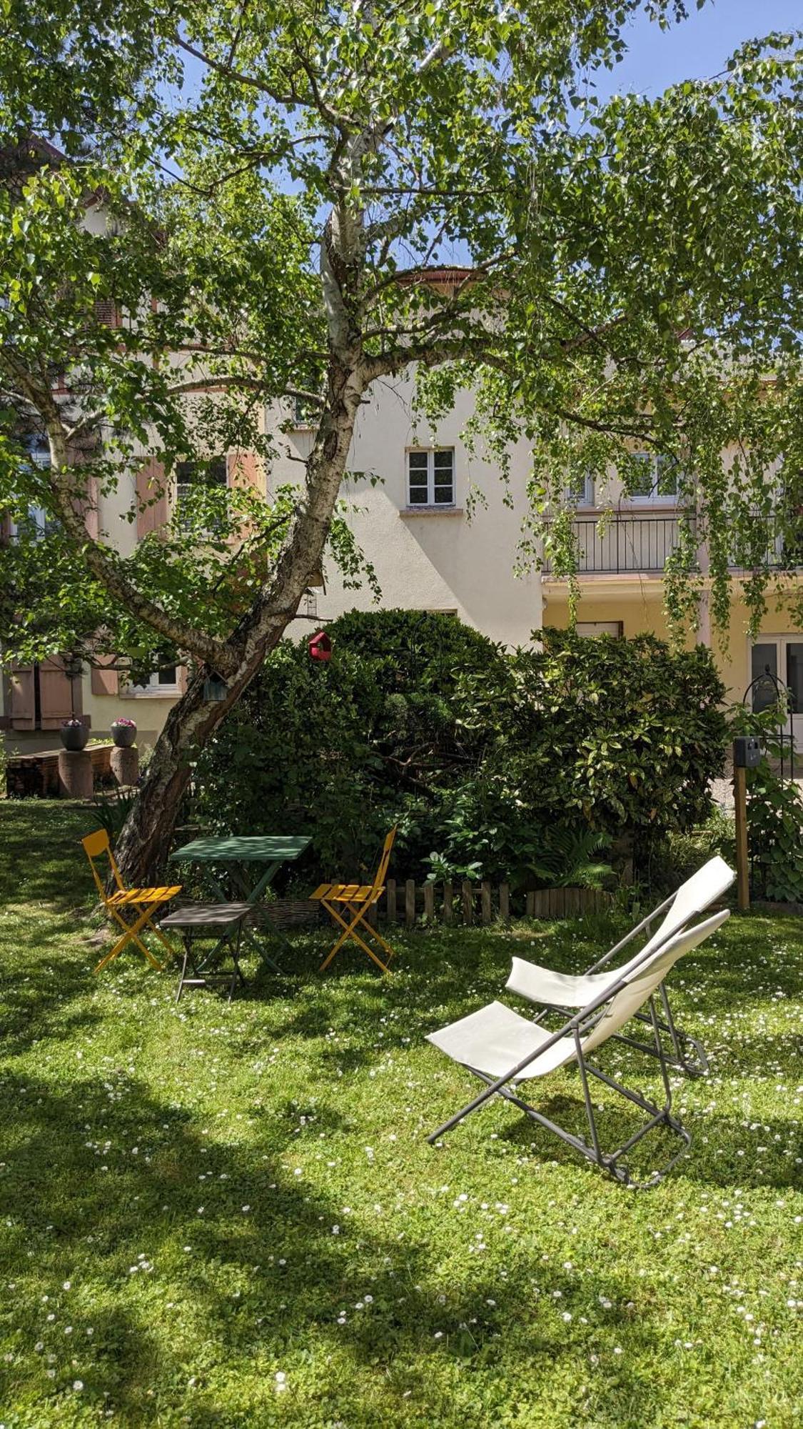 Le Petit Parc Apartment Колмар Стая снимка